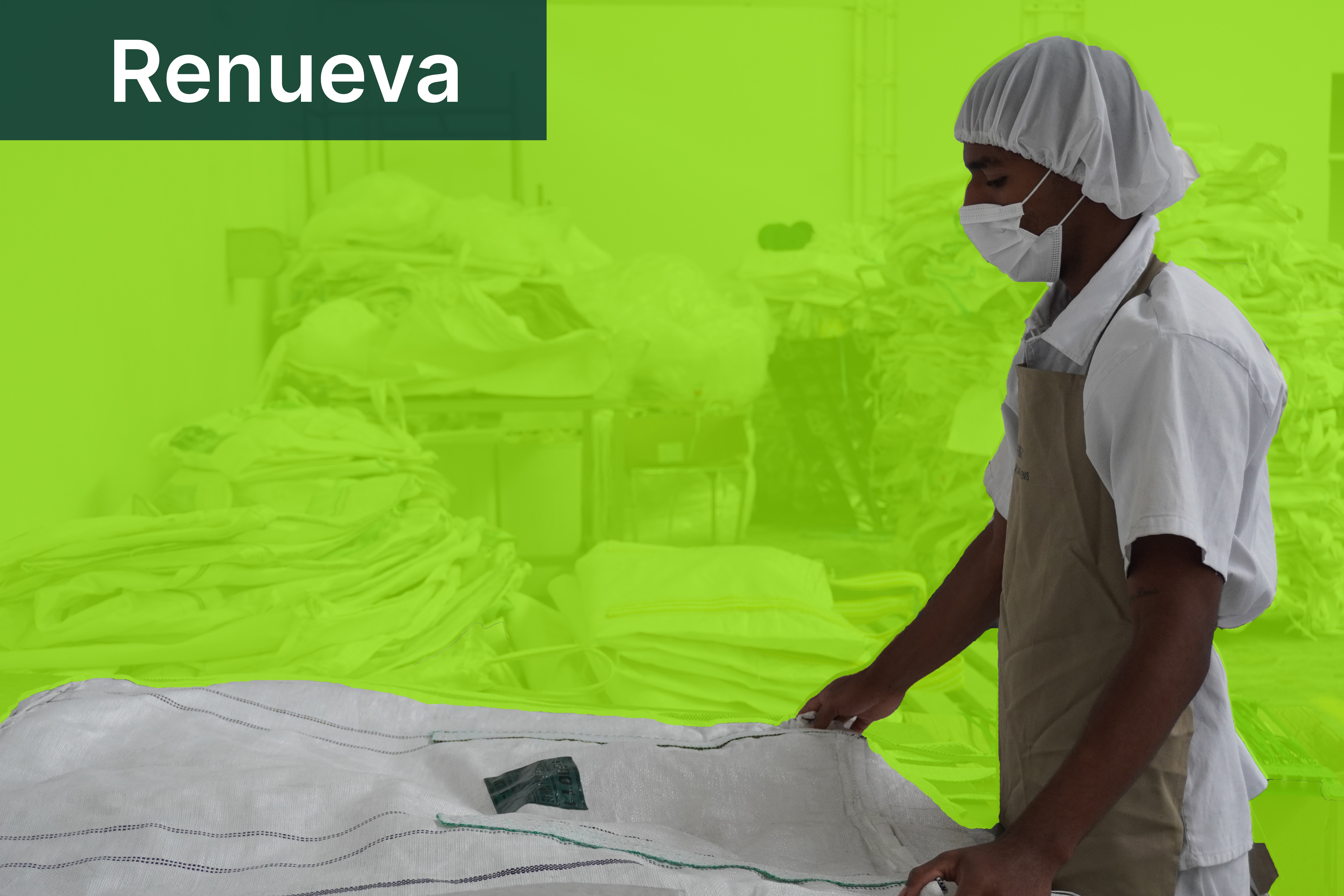 Proceso Renueva